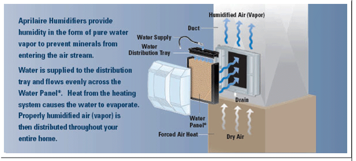 humidified air